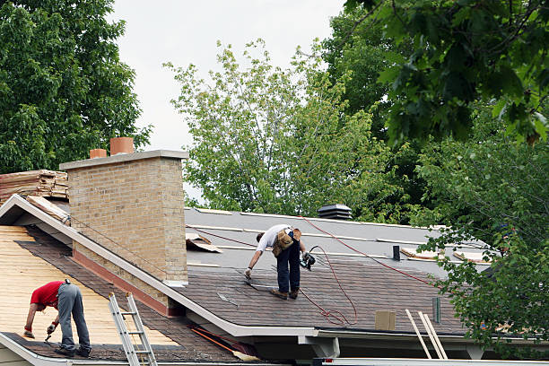 Best Roof Gutter Cleaning  in Houma, LA